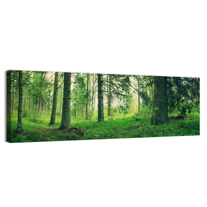 Verdant Forest Interior Wall Art as a canvas print
