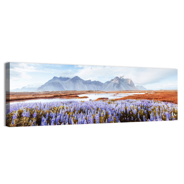 Lupine Fields at Vestrahorn Wall Art as a canvas print