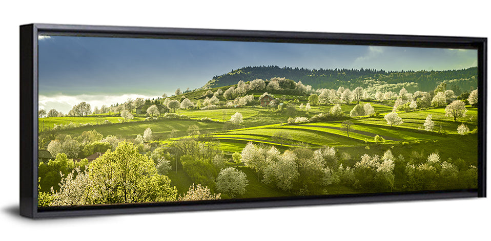 Polana Region Slovakia Wall Art