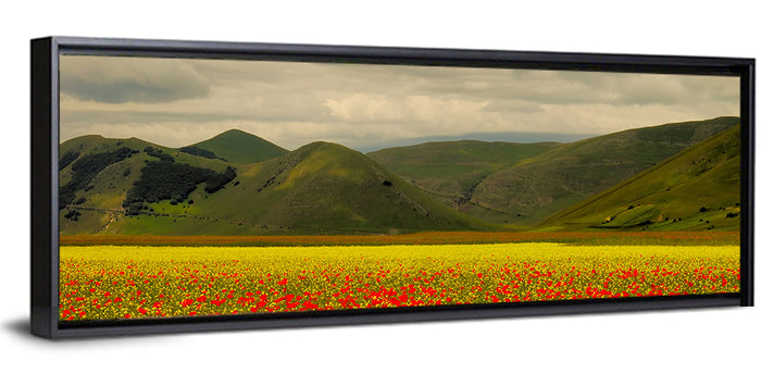 Castelluccio Wildflower Meadow Wall Art as a framed canvas