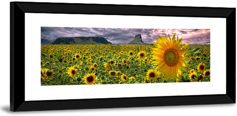 Sunflowers Field Wall Art