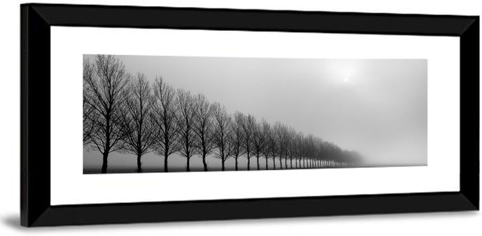 Misty Row of Bare Trees Wall Art as a framed print