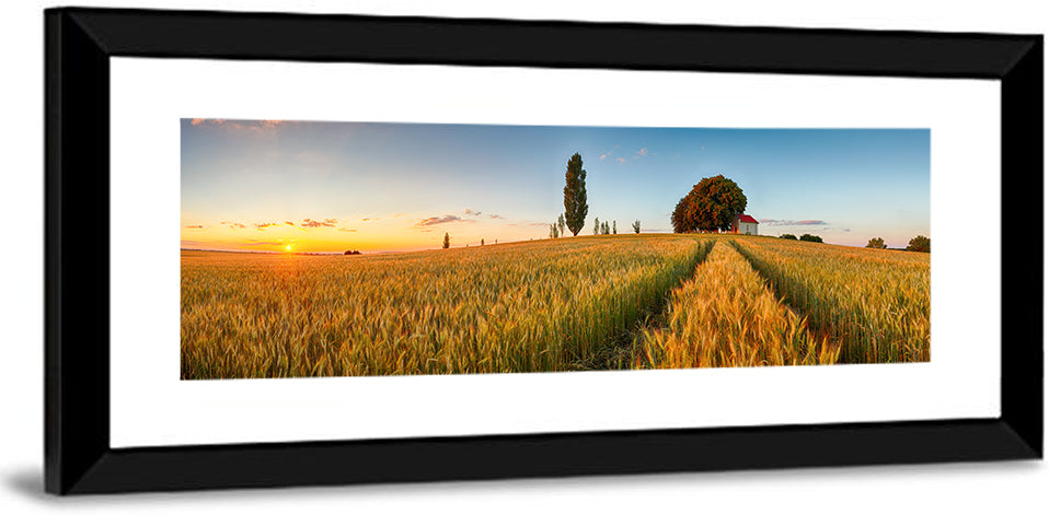 Summer Wheat Field Wall Art