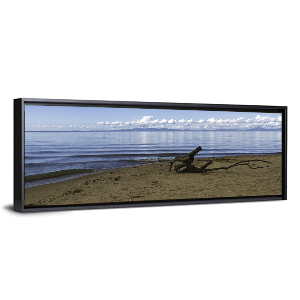 Shallow Lake Khanka Wall Art