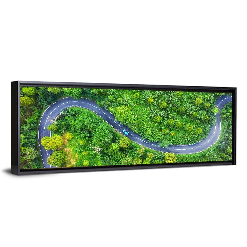 Summer Forest Road Wall Art