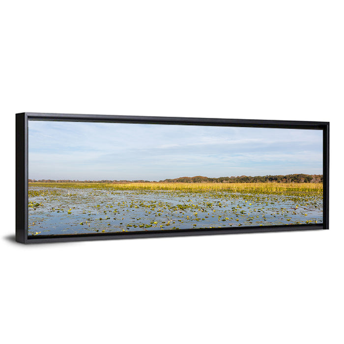 Lake Toho Lily Pads Wall Art as a framed canvas