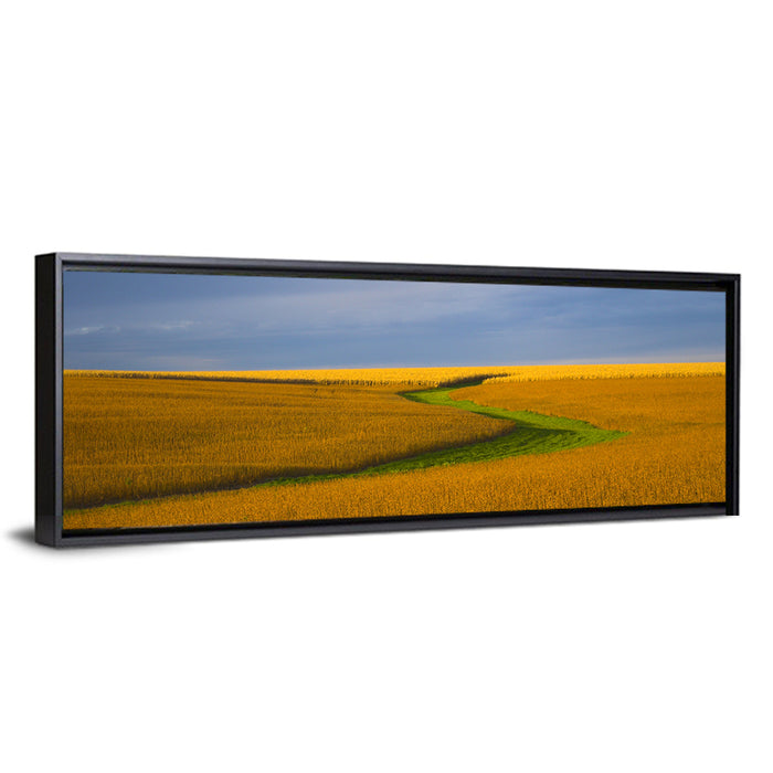 Golden Hour Soybean Field Wall Art as a framed canvas