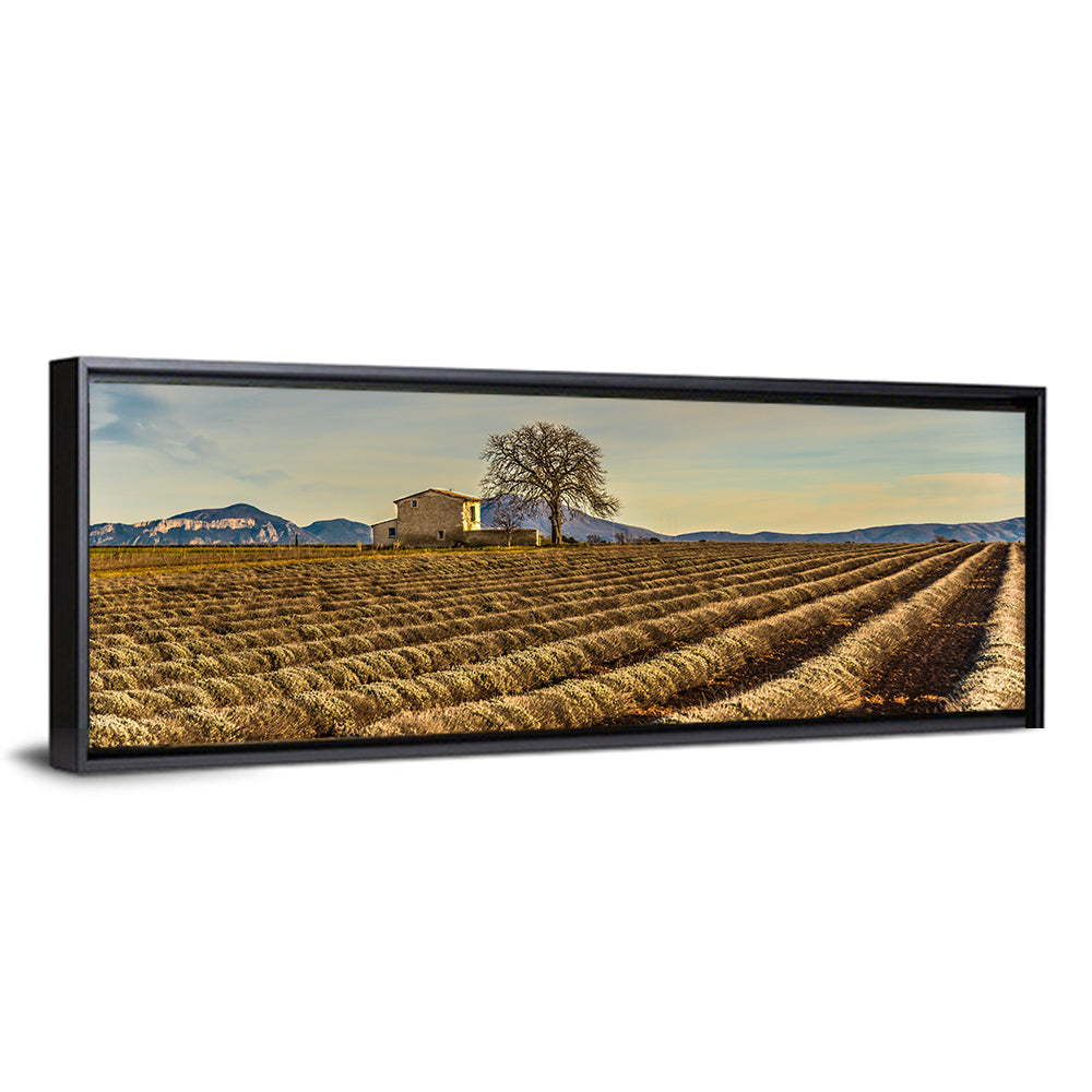 Provence Lavender Wall Art
