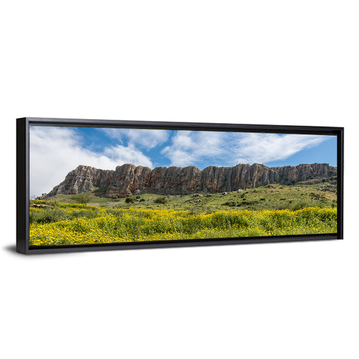 Mount Arbel Wildflower Meadow Wall Art as a framed canvas