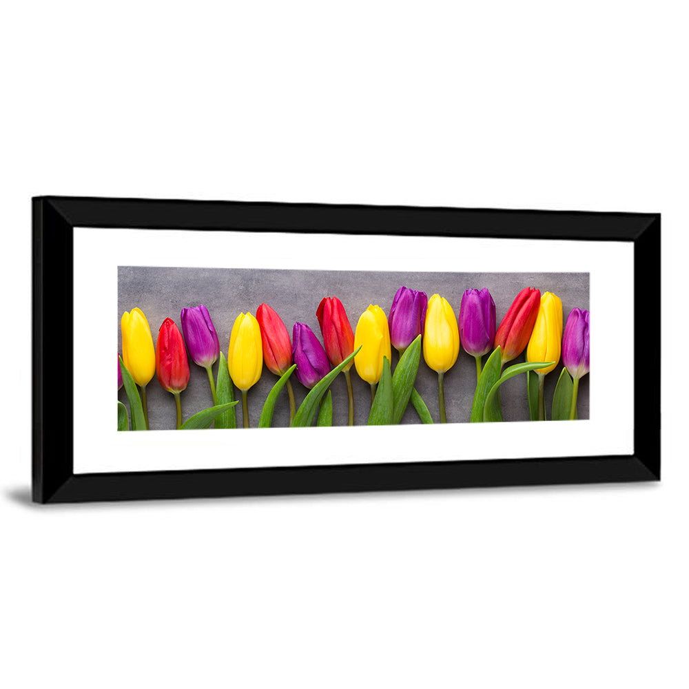 Multicolored Tulips Wall Art