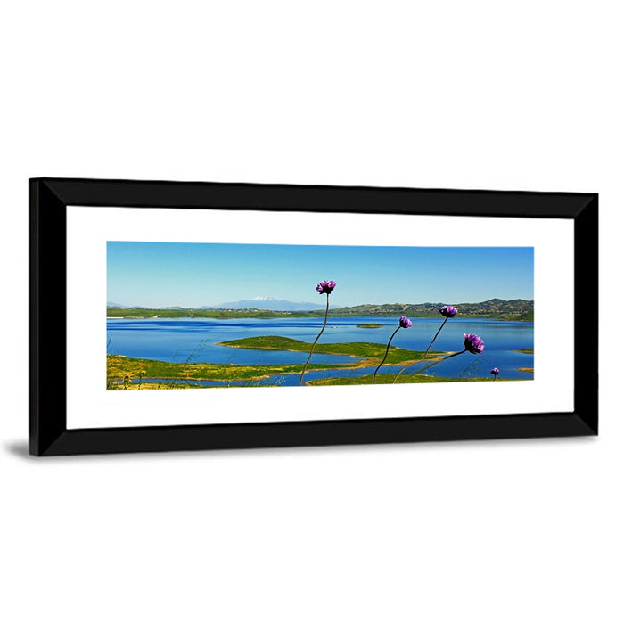 Lake Mathews Wildflower View Wall Art as a framed print