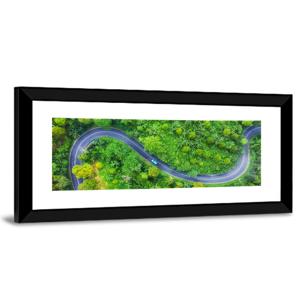 Summer Forest Road Wall Art