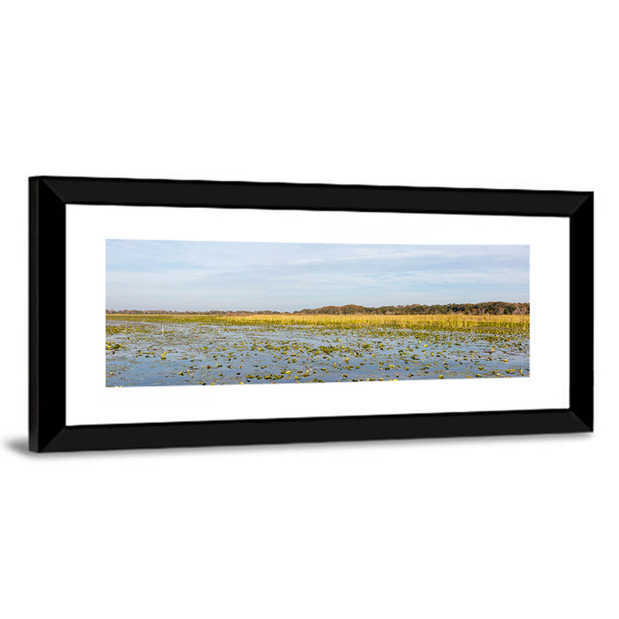 Lake Toho Lily Pads Wall Art as a framed print