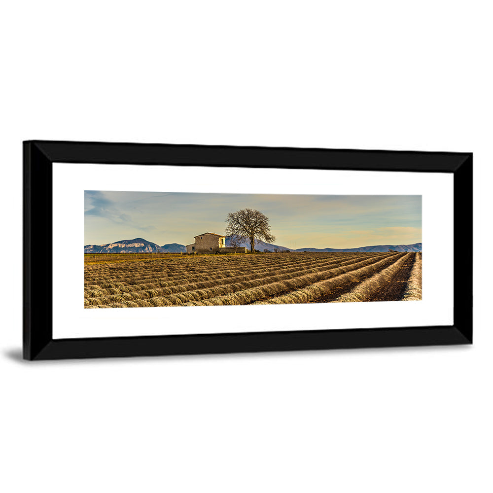 Provence Lavender Wall Art