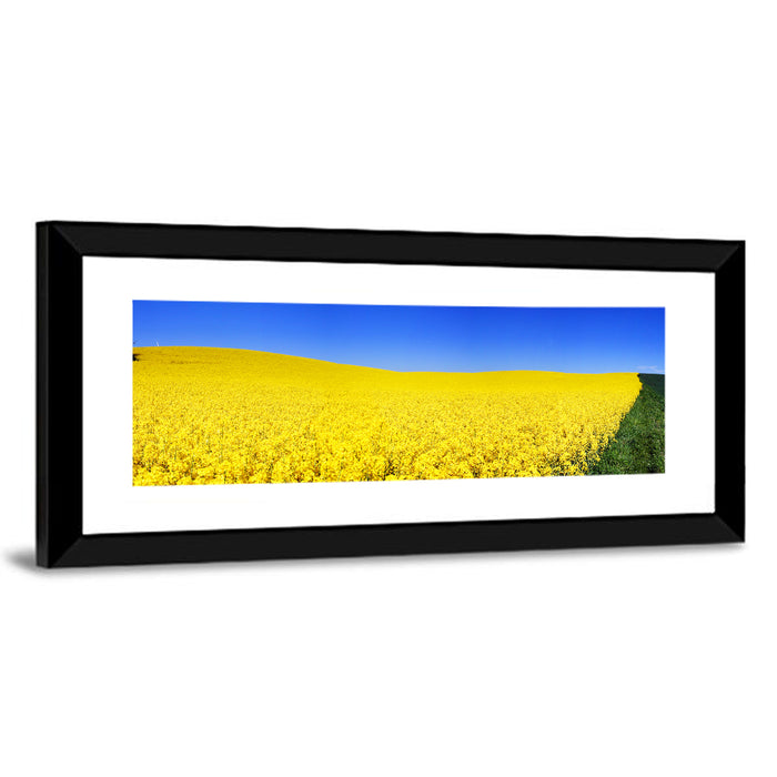 Sunlit Rapeseed Field Wall Art as a framed print