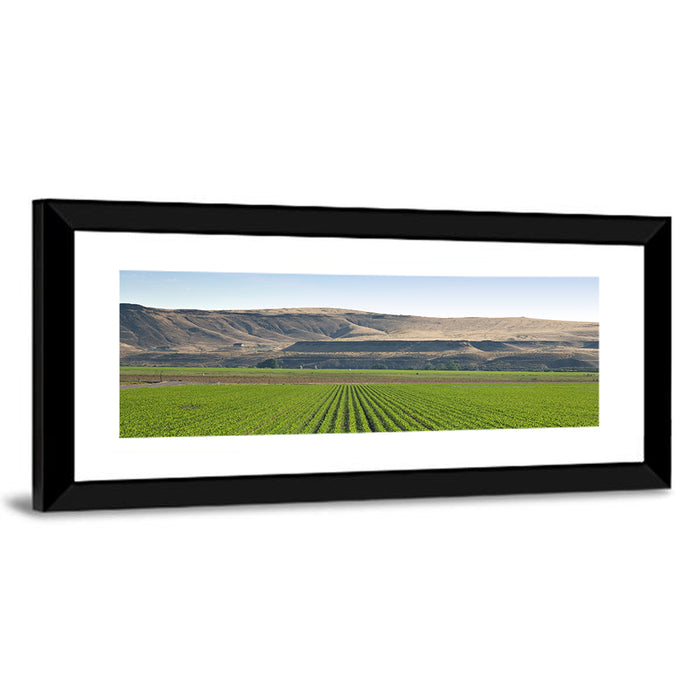 Idaho Corn Field Wall Art as a framed print