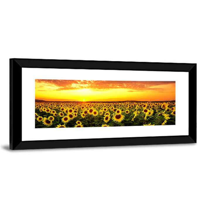 Golden Hour Sunflower Field Wall Art as a framed print