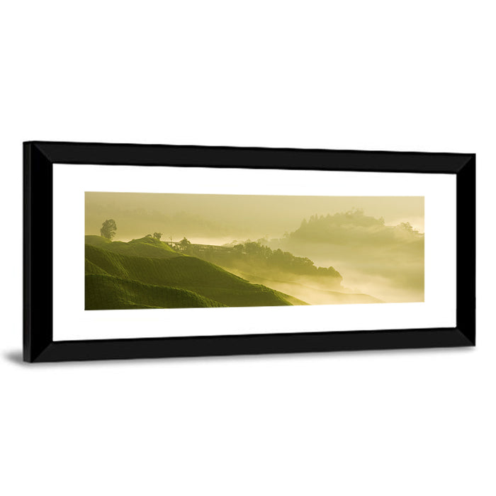 Tea Plantation Morning Mist Wall Art as a framed print