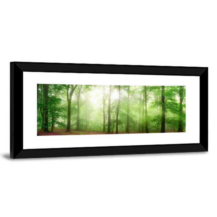 Sunlit Misty Forest Wall Art as a framed print