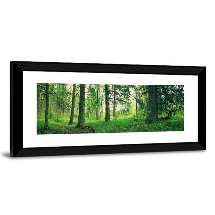 Verdant Forest Interior Wall Art as a framed print