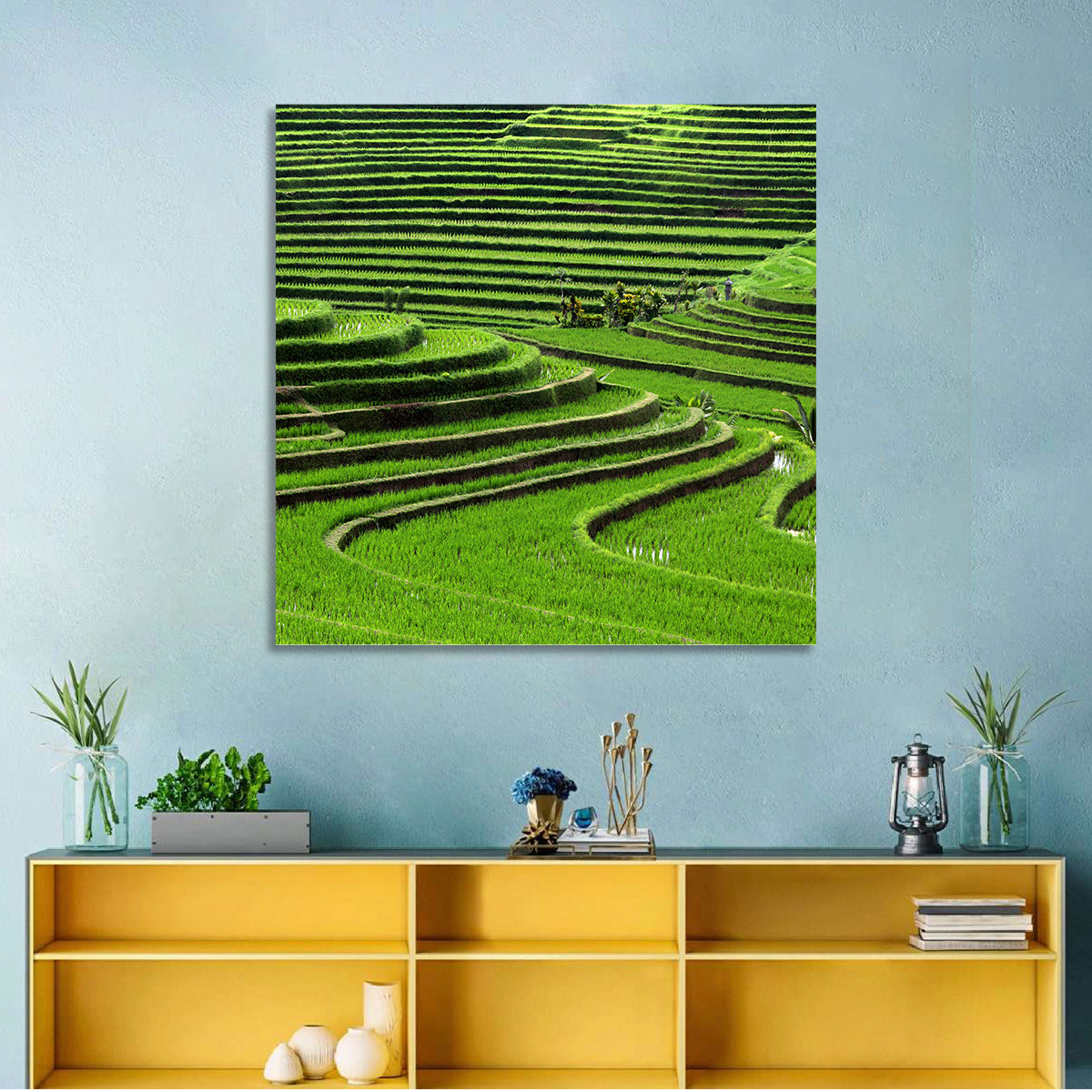 Rice Fields Wall Art