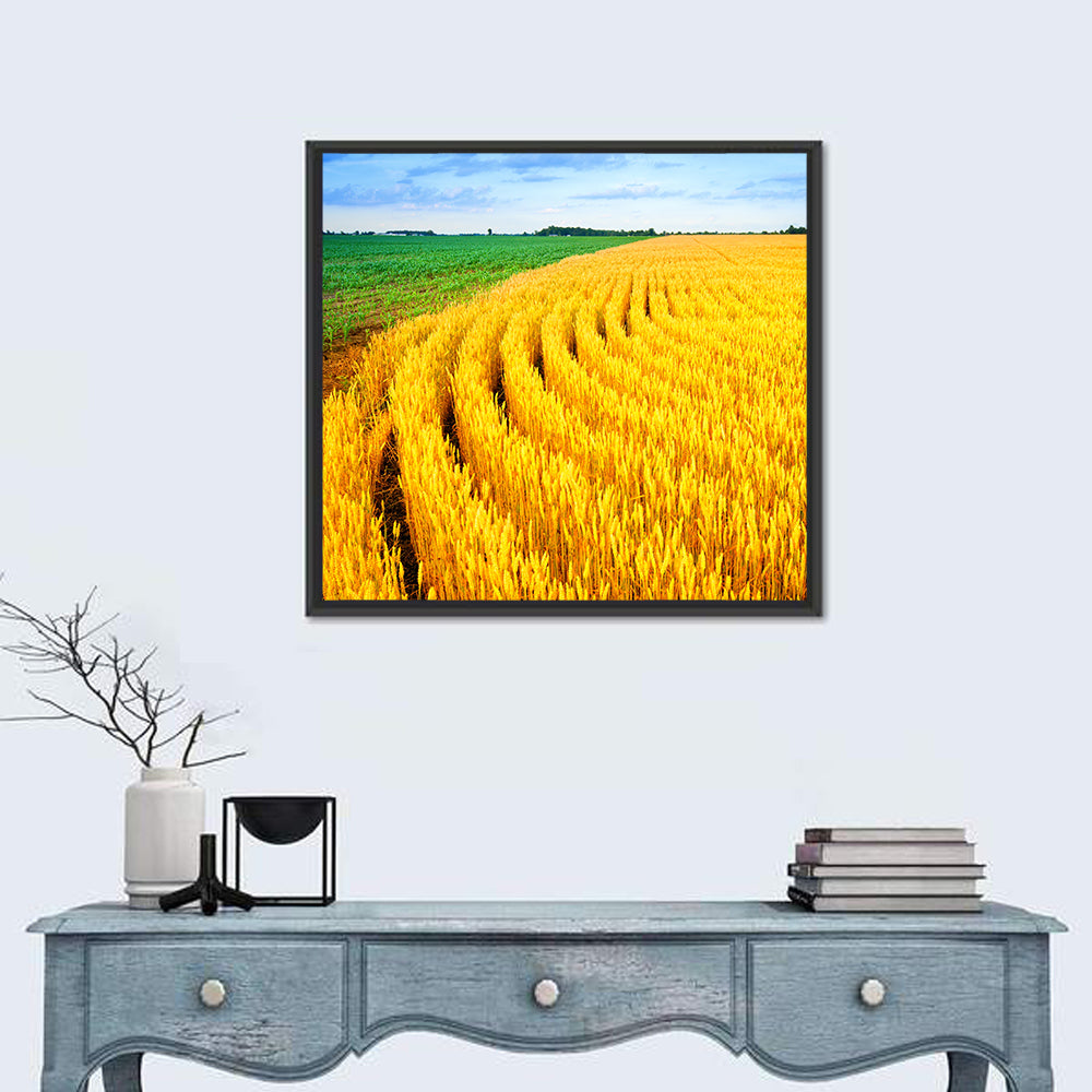 Wheat Field Wall Art