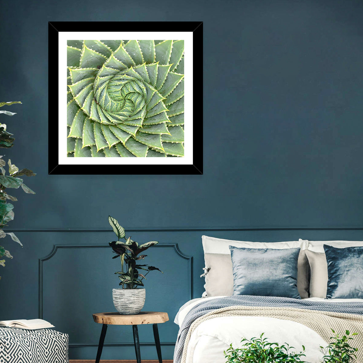 Spiral Aloe Wall Art