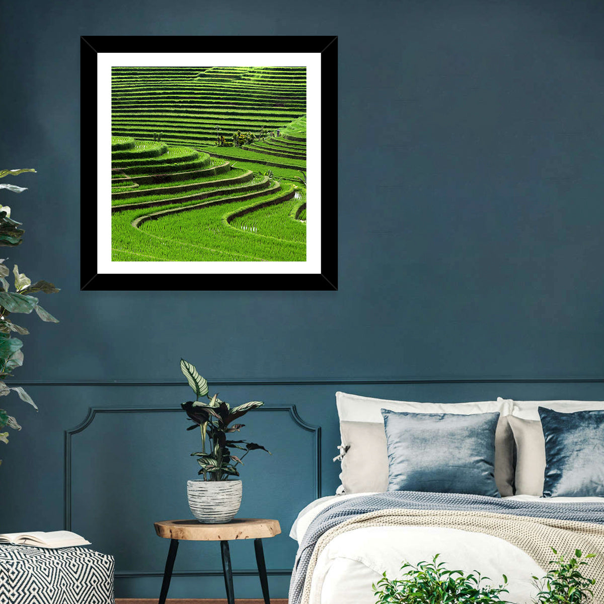 Rice Fields Wall Art
