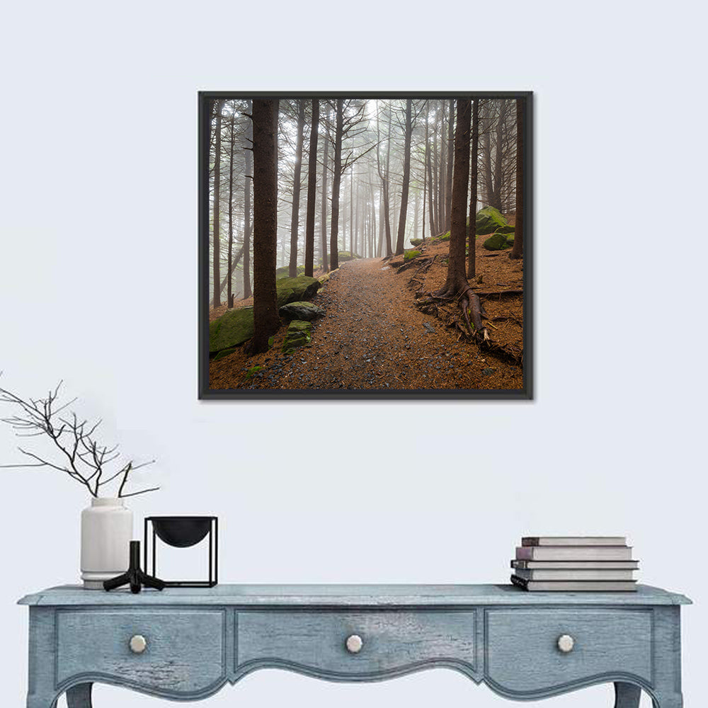Appalachian Hiking Trail Wall Art