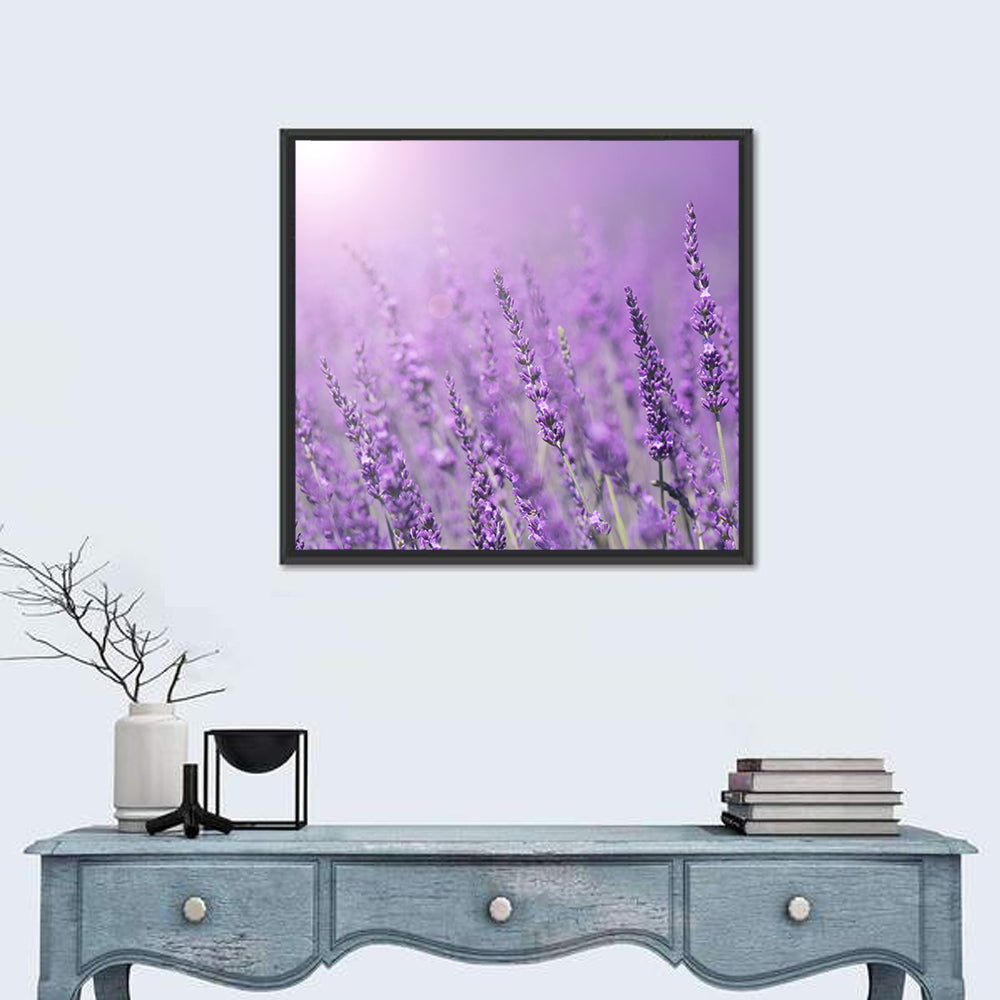 Lavender Field Wall Art