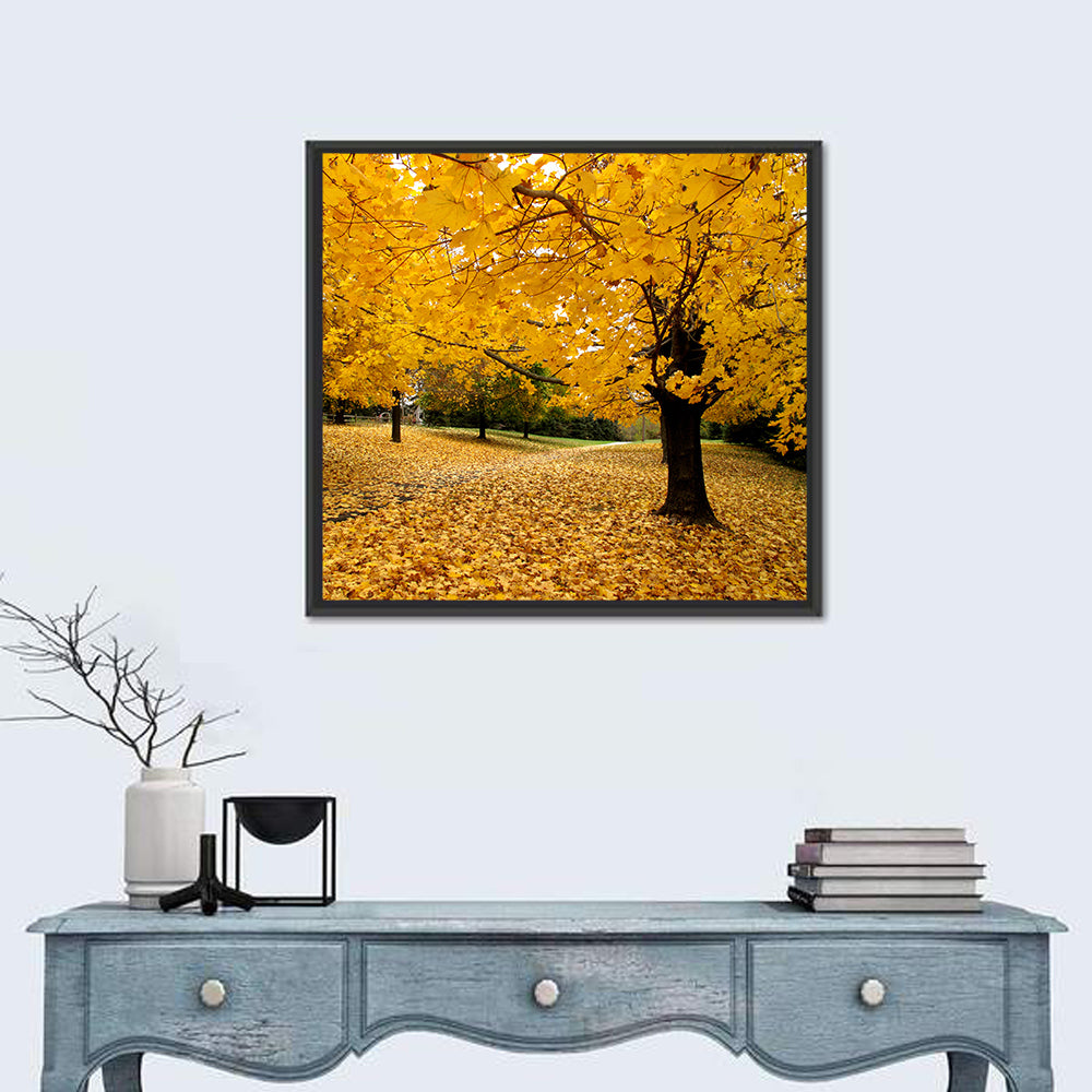 Baltimore Fall Foliage Wall Art