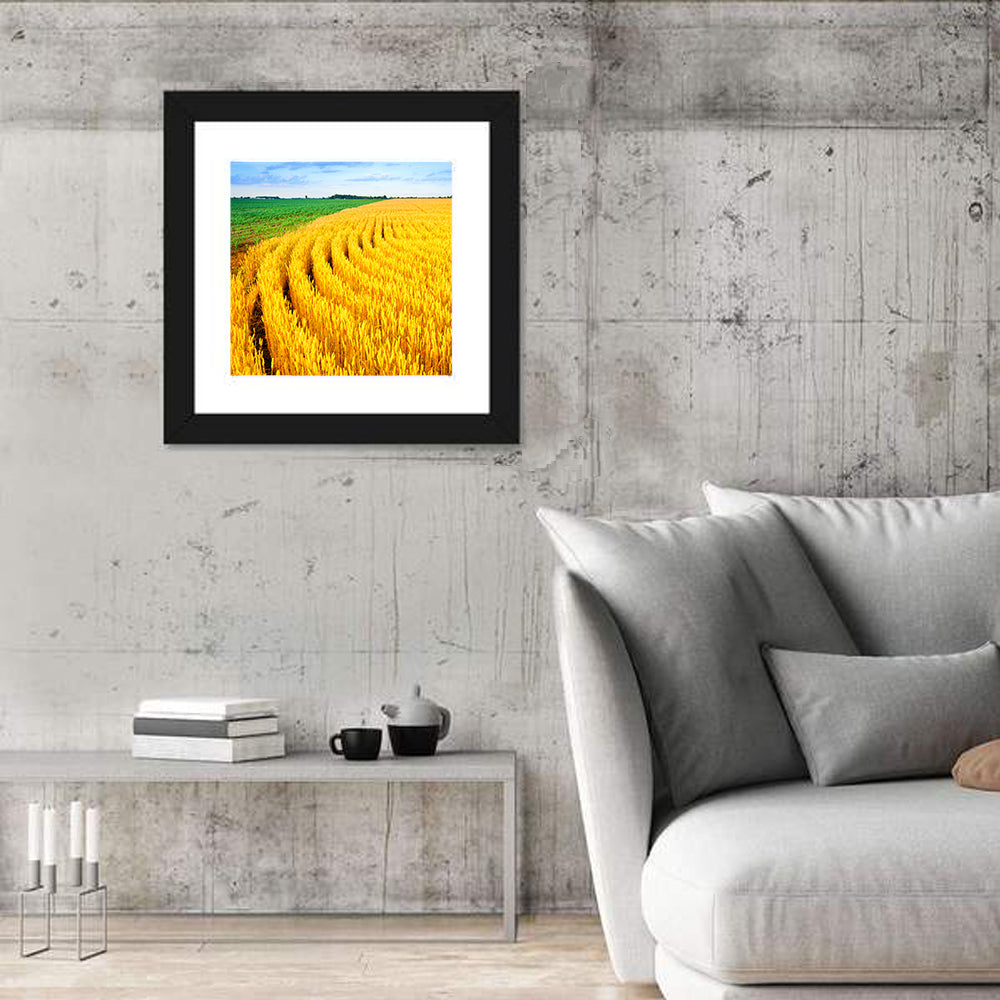 Wheat Field Wall Art