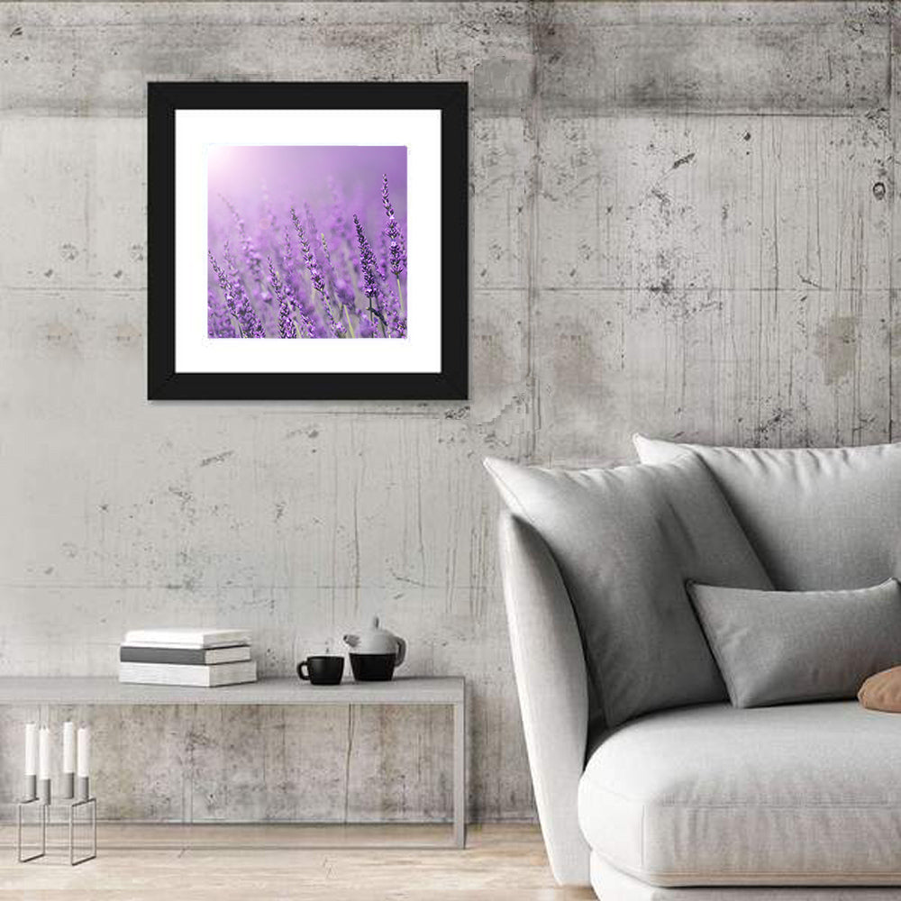 Lavender Field Wall Art