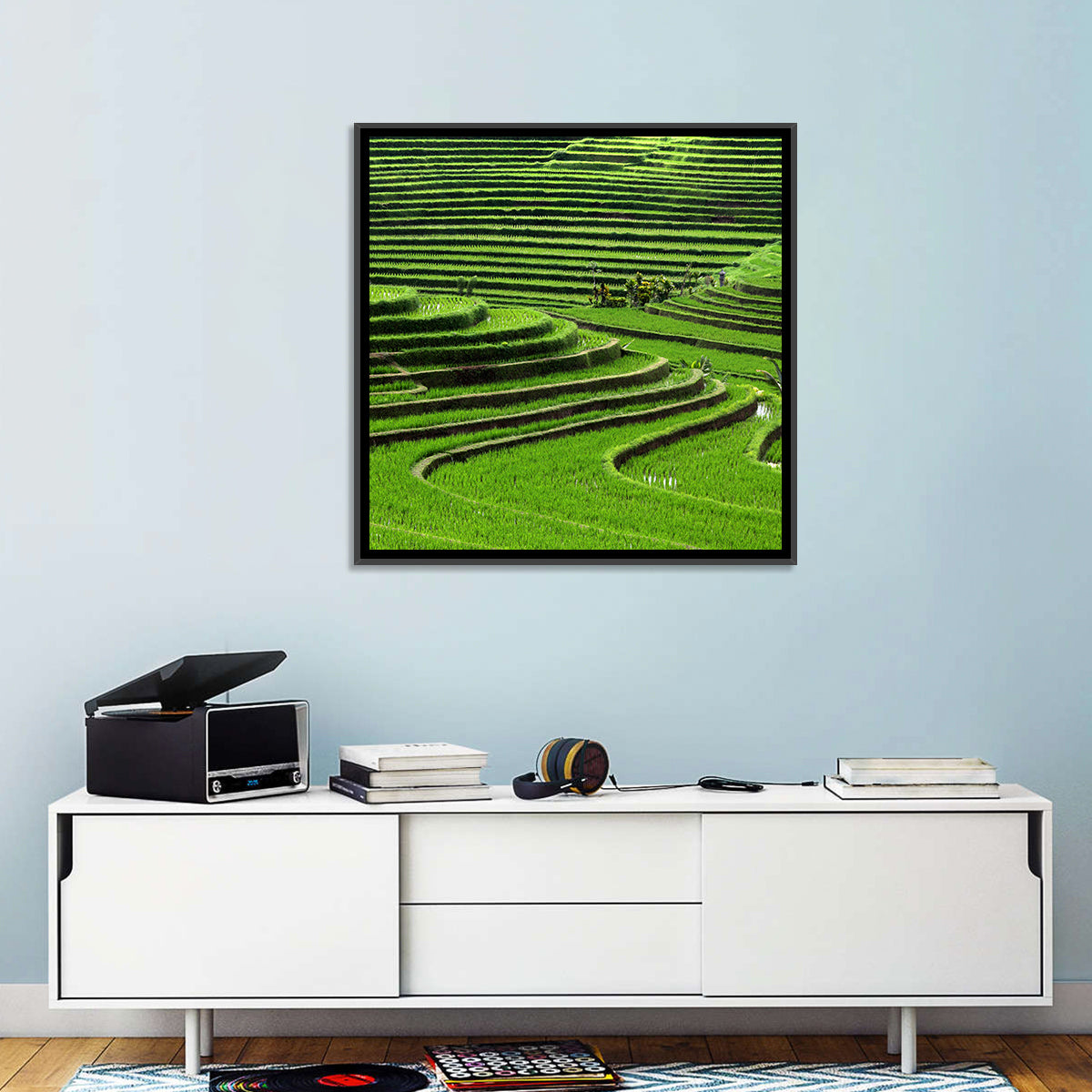 Rice Fields Wall Art