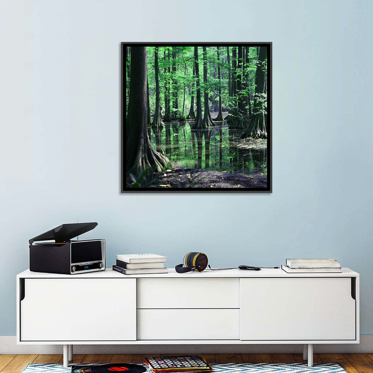 Congaree Swamp Columbia Wall Art