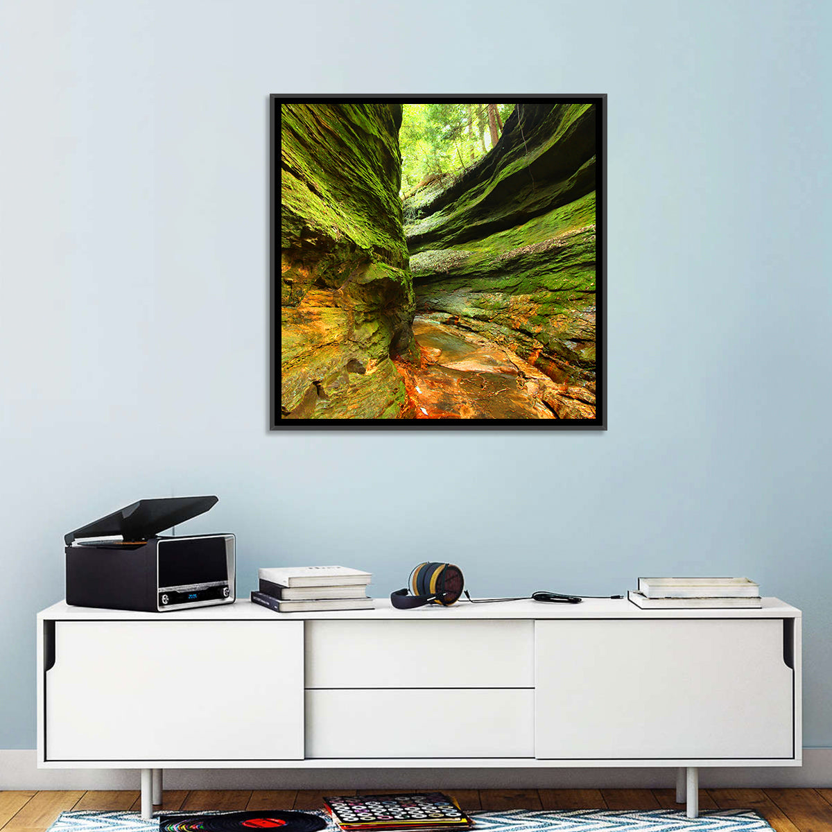 Turkey Run State Park Wall Art
