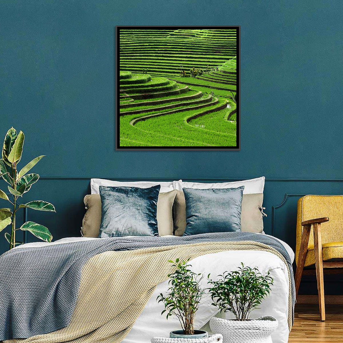 Rice Fields Wall Art