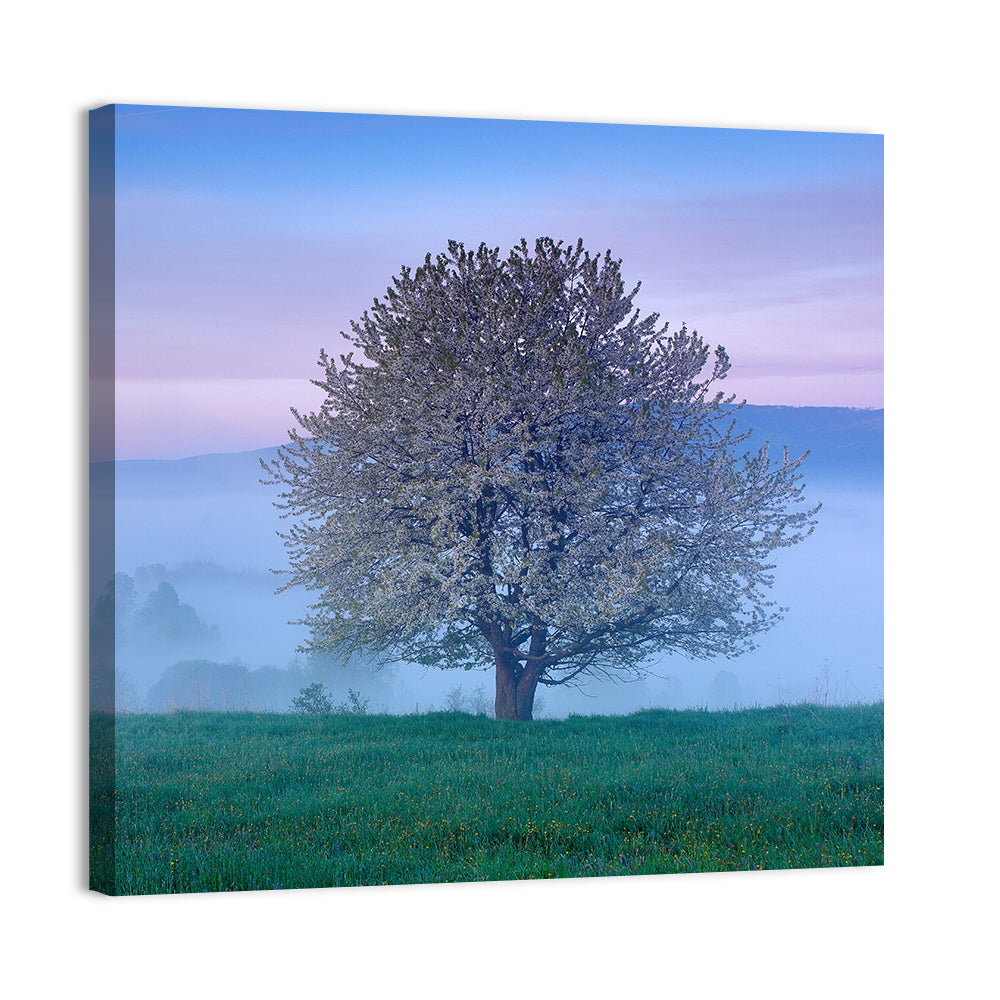 Misty Sumava Mountain Tree Wall Art, canvas print, square