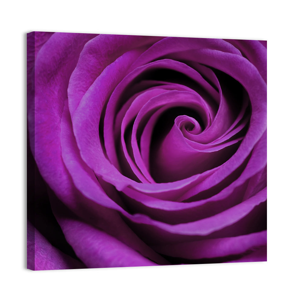 Purple Rose Wall Art