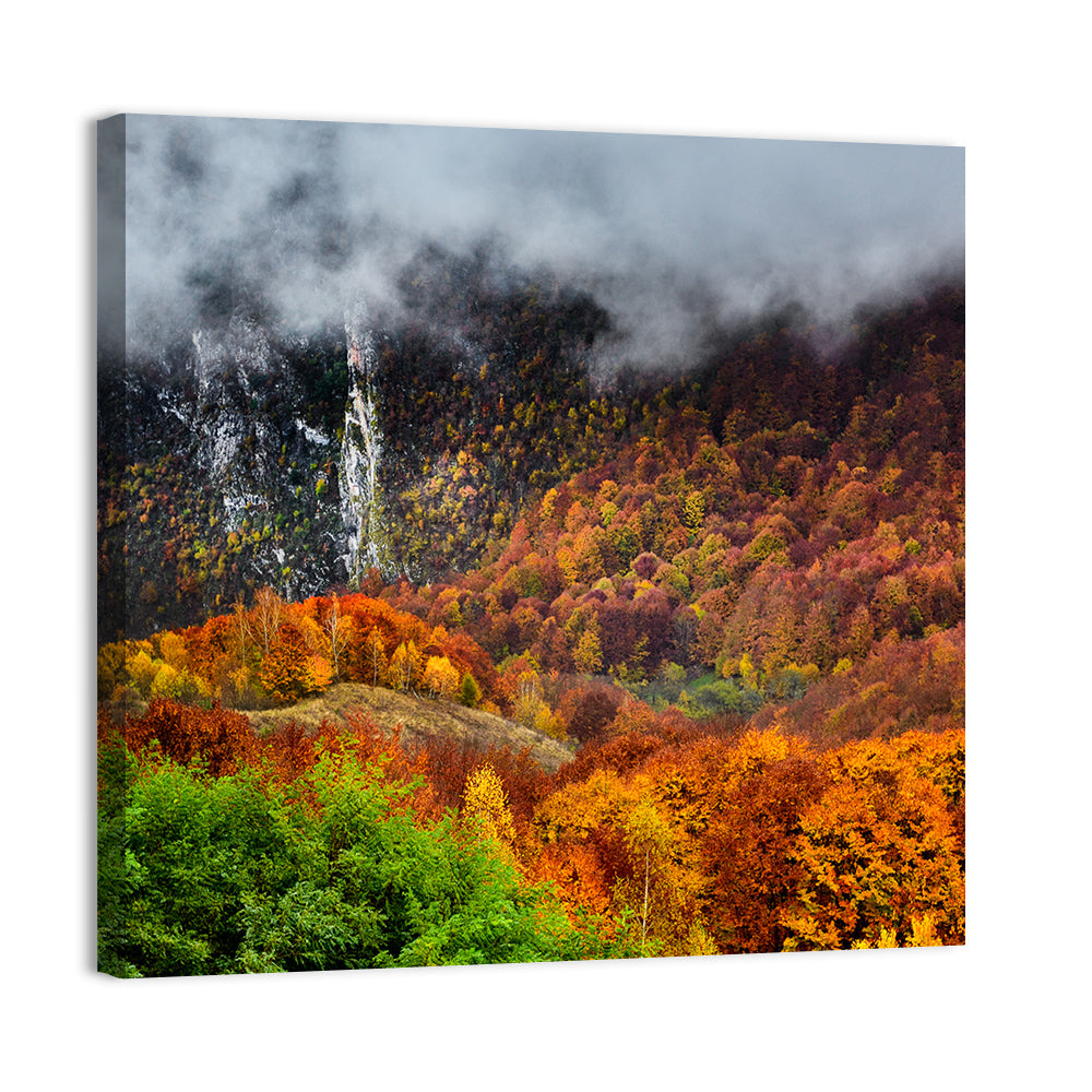 Misty Carpathian Autumn Wall Art, canvas print, square