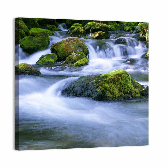 Mossy Forest Stream Wall Art as a canvas print