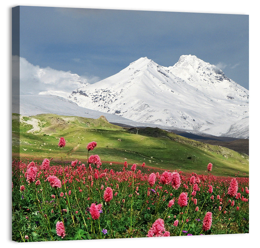 Caucasus Mountain & Spring Wall Art