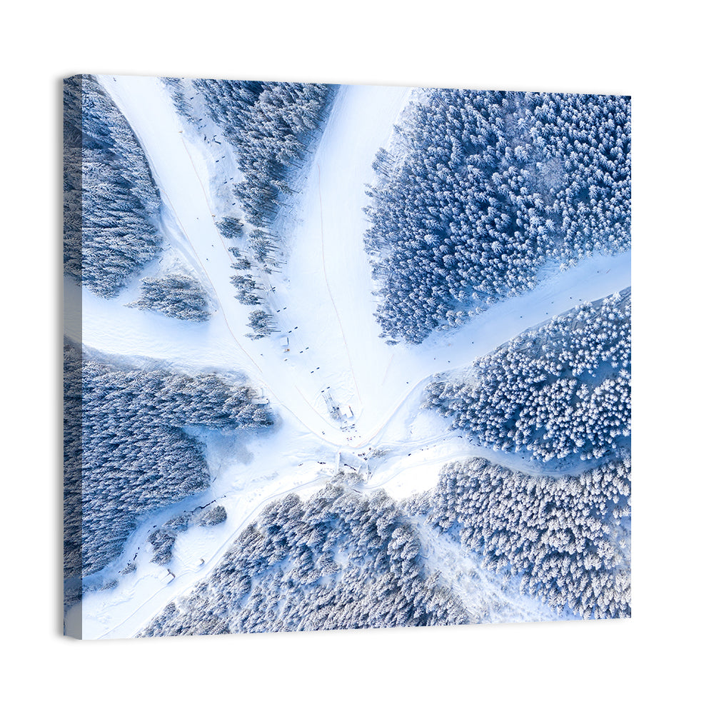 Ski Resort Aerial Wall Art