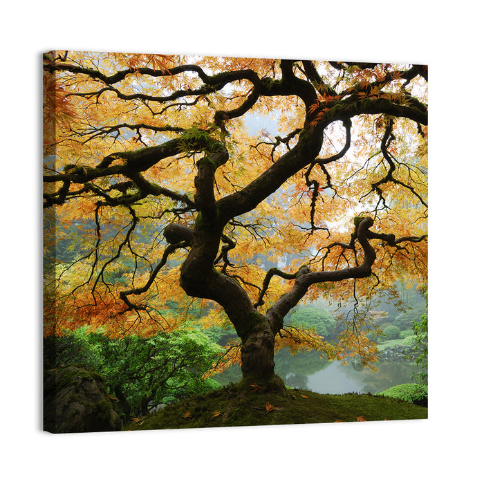 Japanese Autumn Maple Wall Art as a canvas print