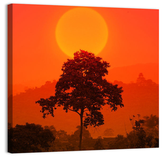 African Summer Sunset Wall Art as a canvas print