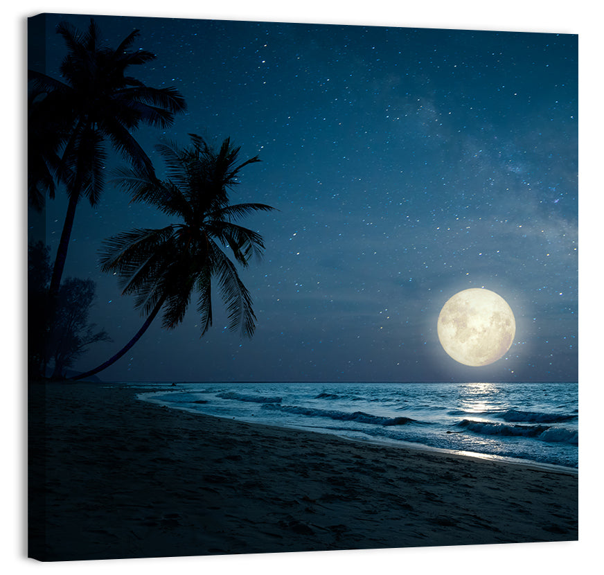 Palm Beach Moonset Wall Art