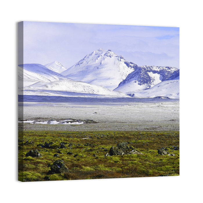 Icelandic Snow and Moss Landscape Wall Art as a canvas print