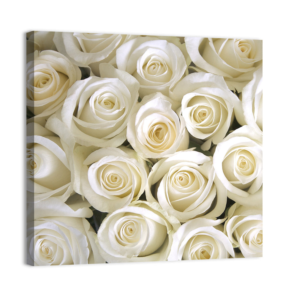 Silky Roses Wall Art, canvas print, square