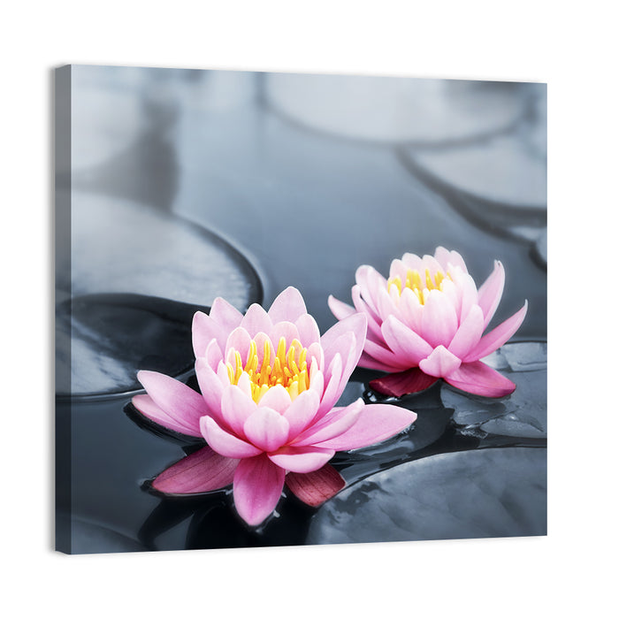 Pink Water Lilies Wall Art as a canvas print