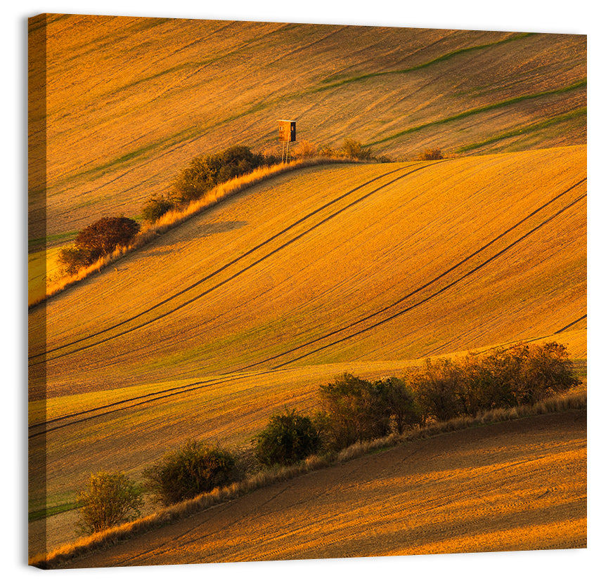 Golden Moravian Farm Tracks Wall Art, canvas print, square
